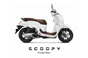 Scoopy Prestige